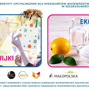 Kreatywne warsztaty upcyklingowe dla mieszkańców województwa małopolskiego, w szczególności Gminy Zabierzów