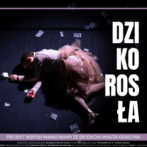 Baner spektaklu Dzikorosła Kraków