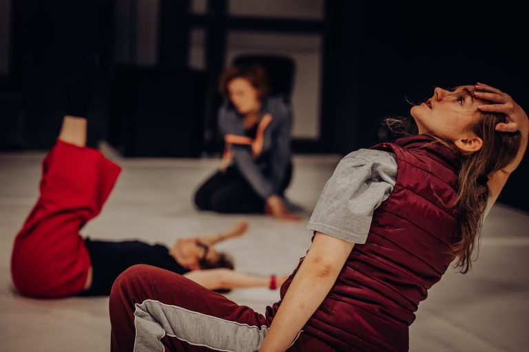 Choreografia a Inkluzywność - warsztaty z Katarzyną Żeglicką